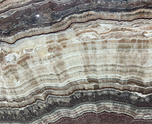 Fantastic Onyx